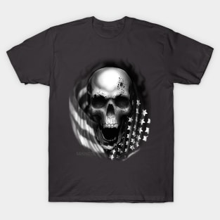 America The Beautiful T-Shirt